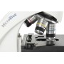 Microscope binoculaire Microblue