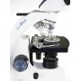 Microscope binoculaire BioBlue