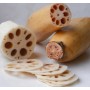 Mountain Tree Lotus Root Nitro Ring II - 5 Litres