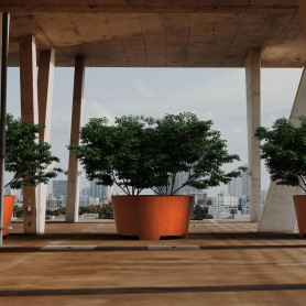 Jardinière Cado avec Pieds en acier Corten