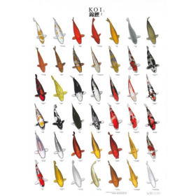 Poster Koi 2: 96x69 cm Poster Koi 2