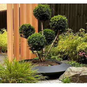 Jardinière ronde Malva en Polyester