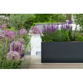 Jardinière rectangulaire Buxus en Polyester