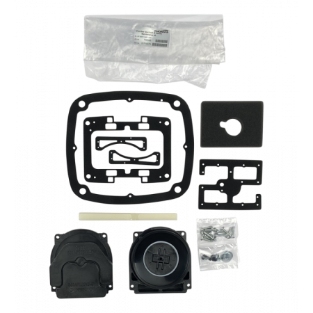 Kit d'entretien pompe Thomas AP-80H / AP-100 / AP-120