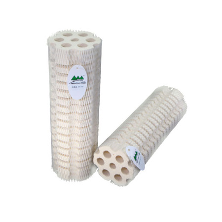 Mountain Tree Bacteria House III