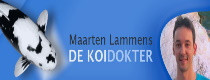 Maarten Lammens