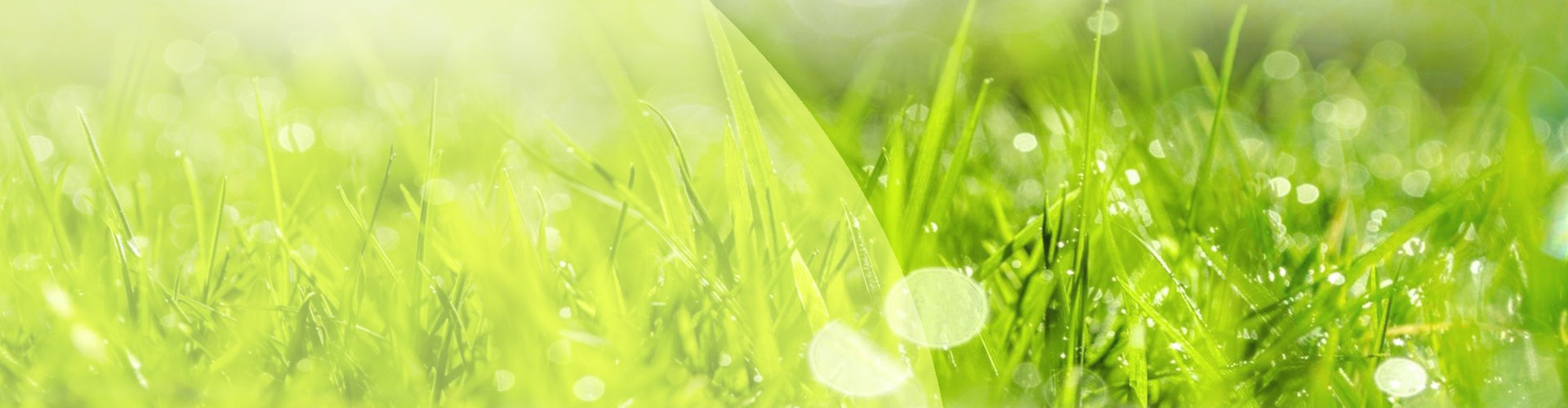 Le TCO ou Thé de Composte Oxygéné